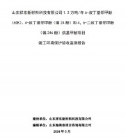 山東祥東新材料科技有限公司1.2萬噸/年6-叔丁基鄰甲(60K)、4-叔丁基鄰甲酚(偏 24 酚)和 4，6-二叔丁基鄰甲酚(偏 246 酚)烷基甲酚項目竣工環(huán)境保護驗收監(jiān)測報告